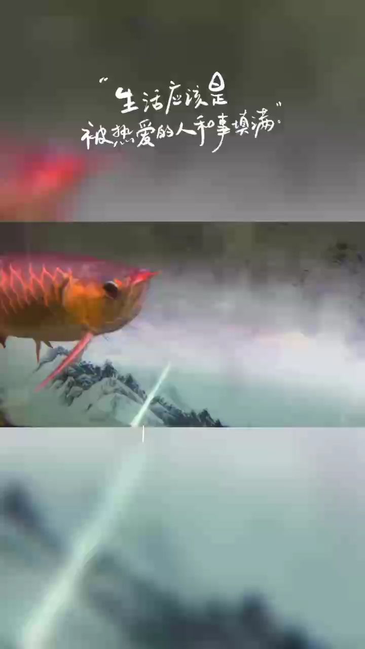 干架了