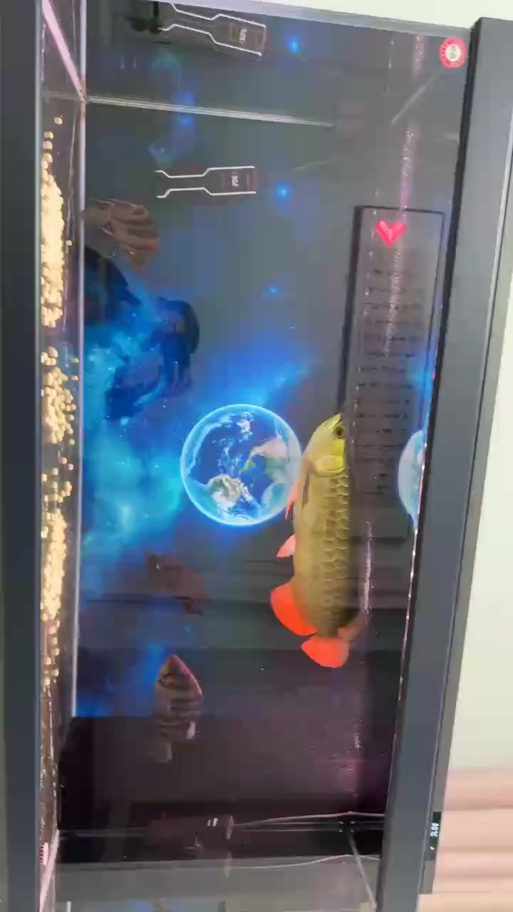 虎魚有病啦，龍魚也不太好