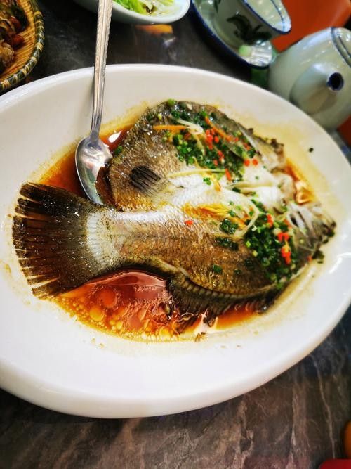 肇慶吃魚哪里比較好