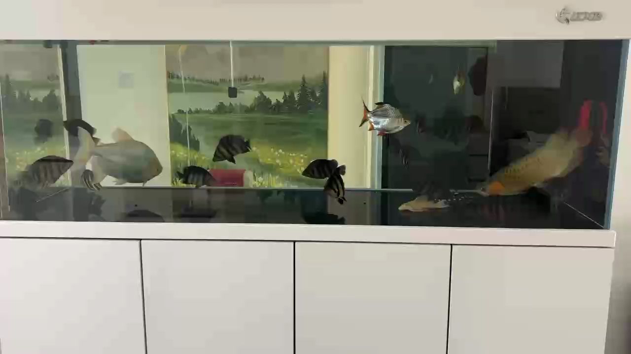 密度