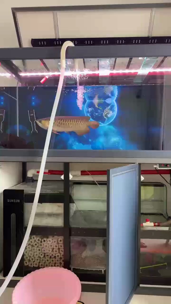 每周固定時間換水