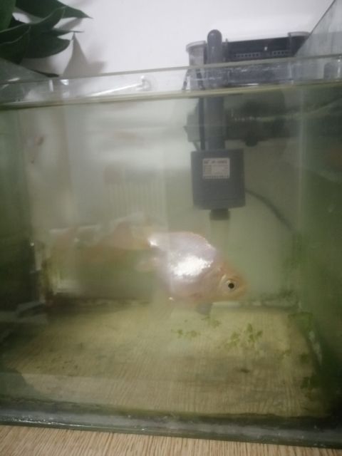加個(gè)裝備！！！