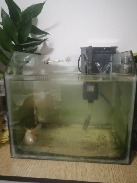 加個(gè)裝備！！！