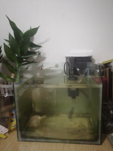 加個(gè)裝備！！！