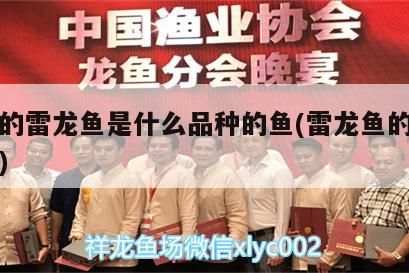 魚缸黑底色怎么改變（魚缸黑底色怎么改變顏色）