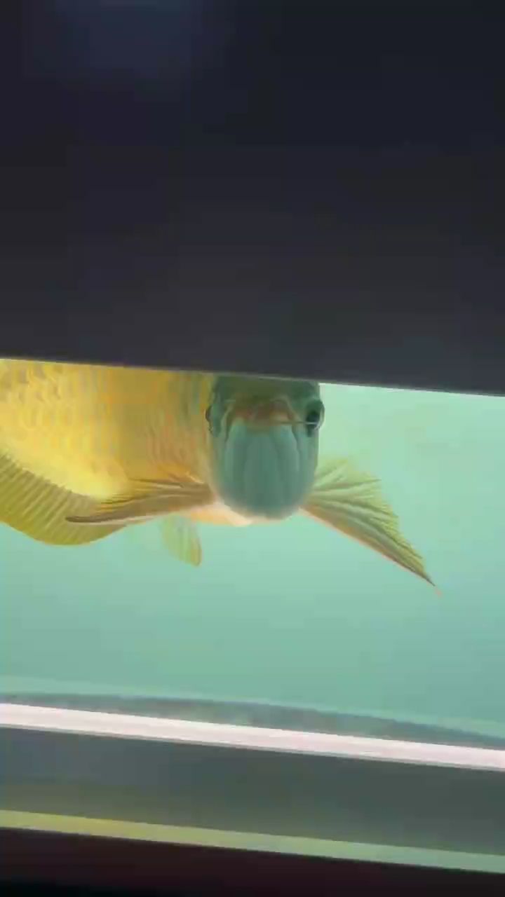 上色