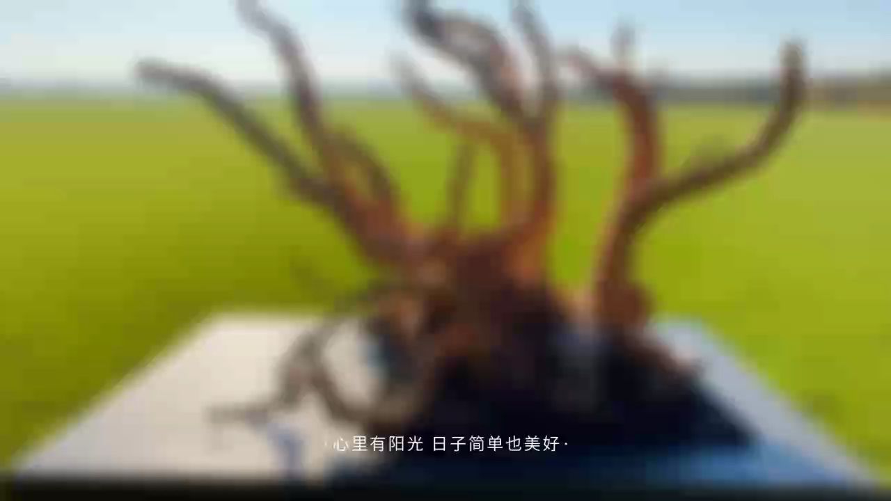 新人報道，感謝關注