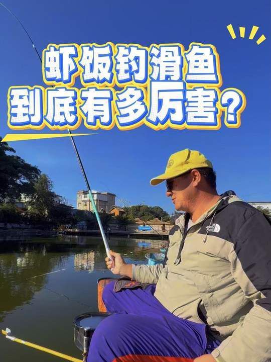哪些魚適合吃蝦米？ 哪些魚適合吃蝦米？ 龍魚百科
