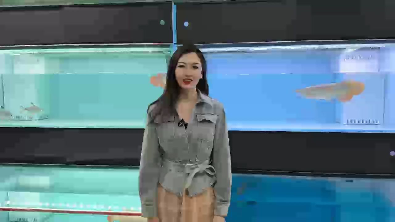 炮彈頭、針刺尾、大平背！
魚友們，這條紅龍魚培養一下有戲嗎？??????
#萬隆天王紅龍 #紅龍 #龍魚 #觀賞魚