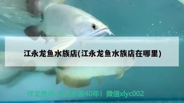 江永龍魚水族店(江永龍魚水族店在哪里)