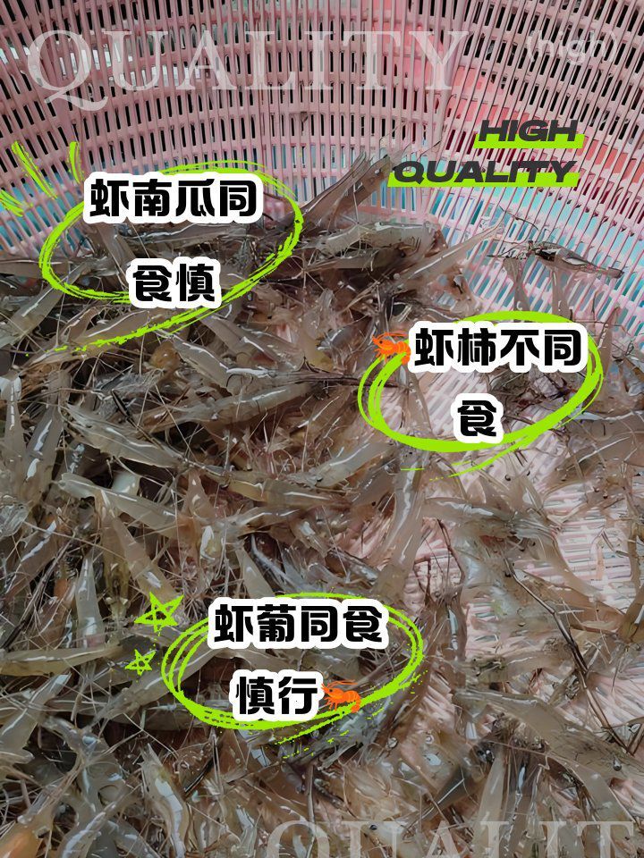 除了這三種，小河蝦還能忌哪些食物？