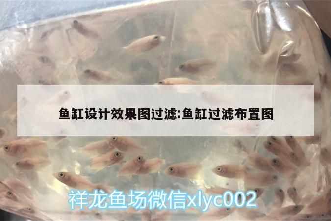 魚缸設(shè)計(jì)效果圖過(guò)濾:魚缸過(guò)濾布置圖