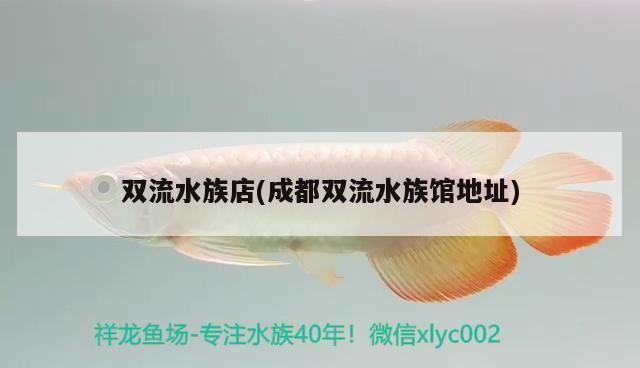 雙流水族店(<strong><mark>成都</mark></strong>雙流水族館地址)