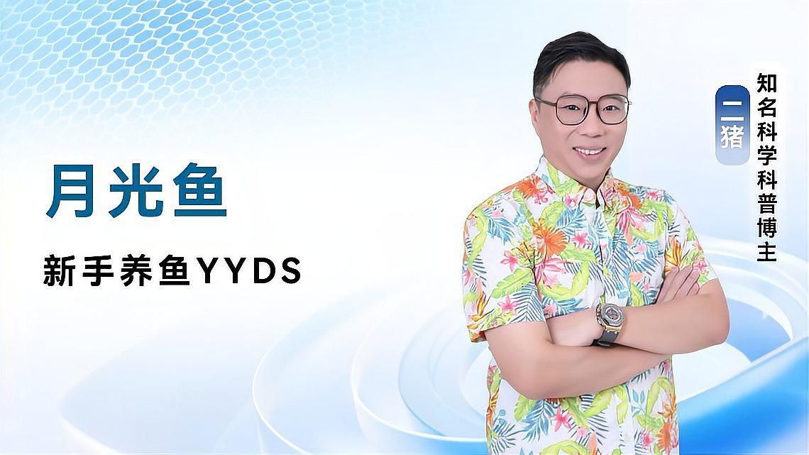 有哪些容易養的觀賞魚推薦？