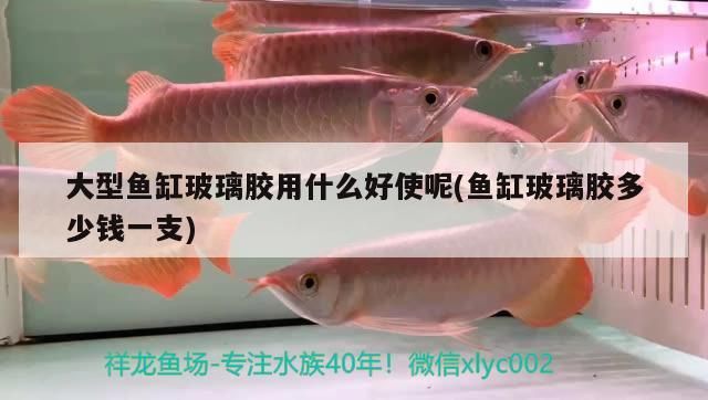 大型魚缸玻璃膠用什么好使呢(魚缸玻璃膠多少錢一支)
