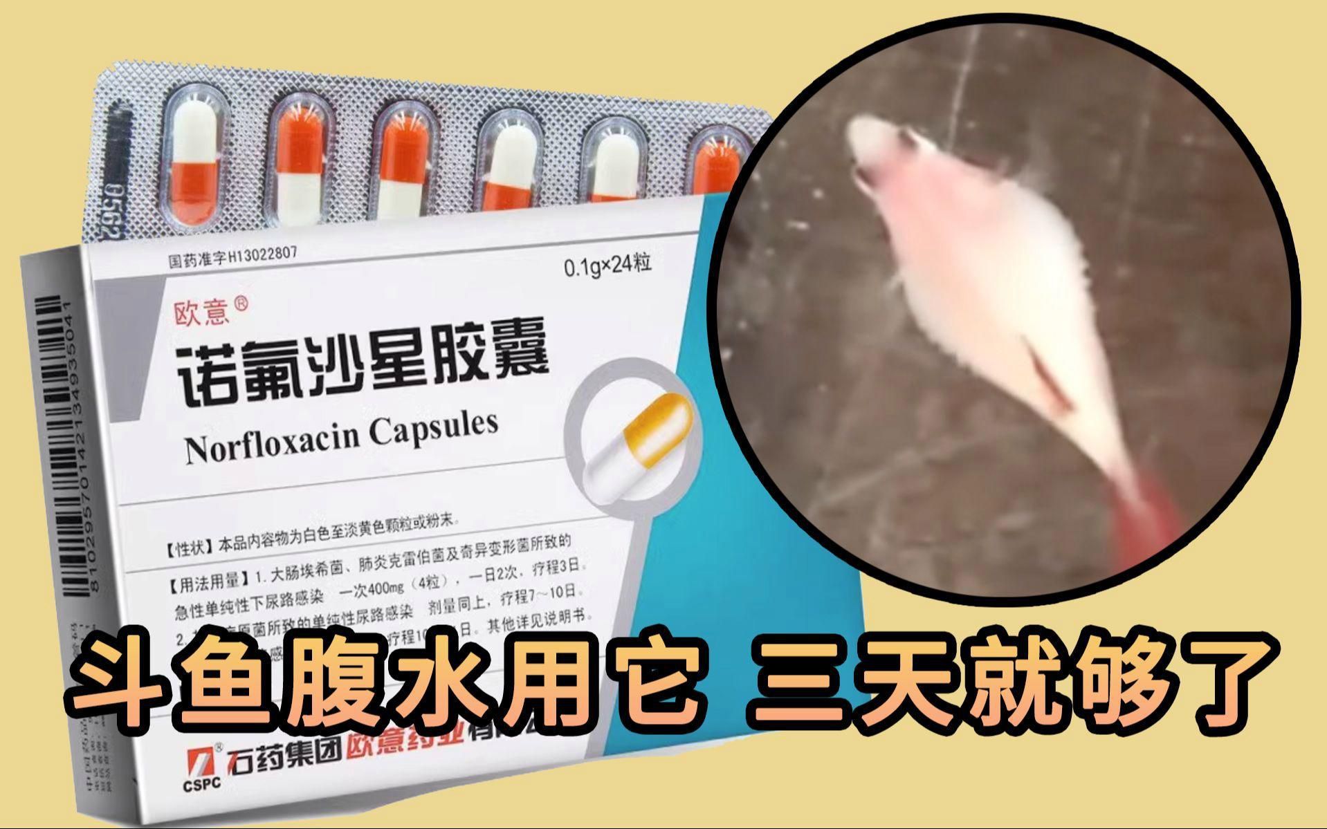 哪種治療方法對魚腹水最有效？
