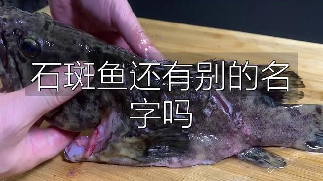 樂亭龍魚的價格是多少（“樂亭龍魚”與河北樂亭地名結合產生的誤解）