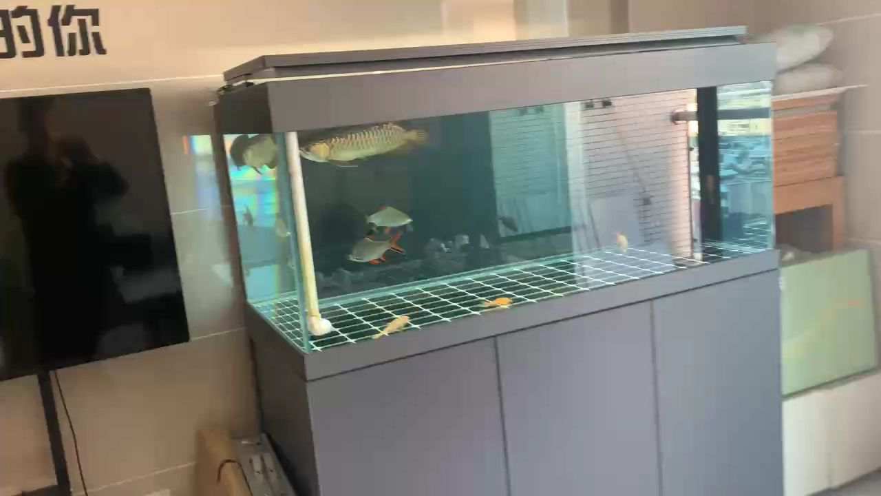 斷更了一天