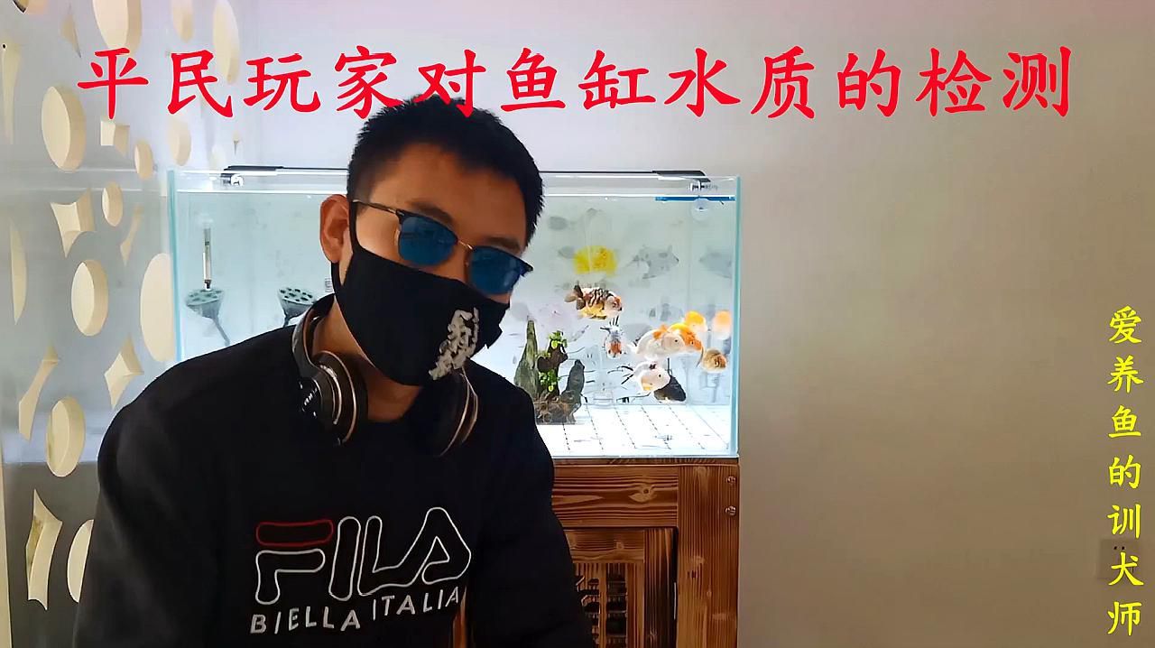 如何判斷水質是否適合金魚？