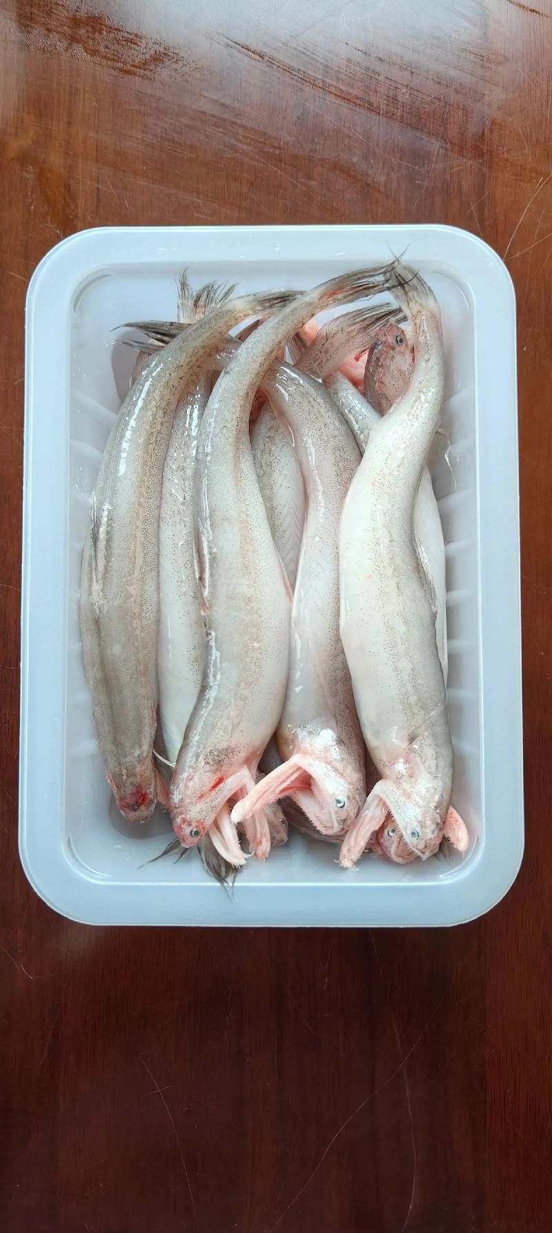 龍頭魚有哪些營養價值？