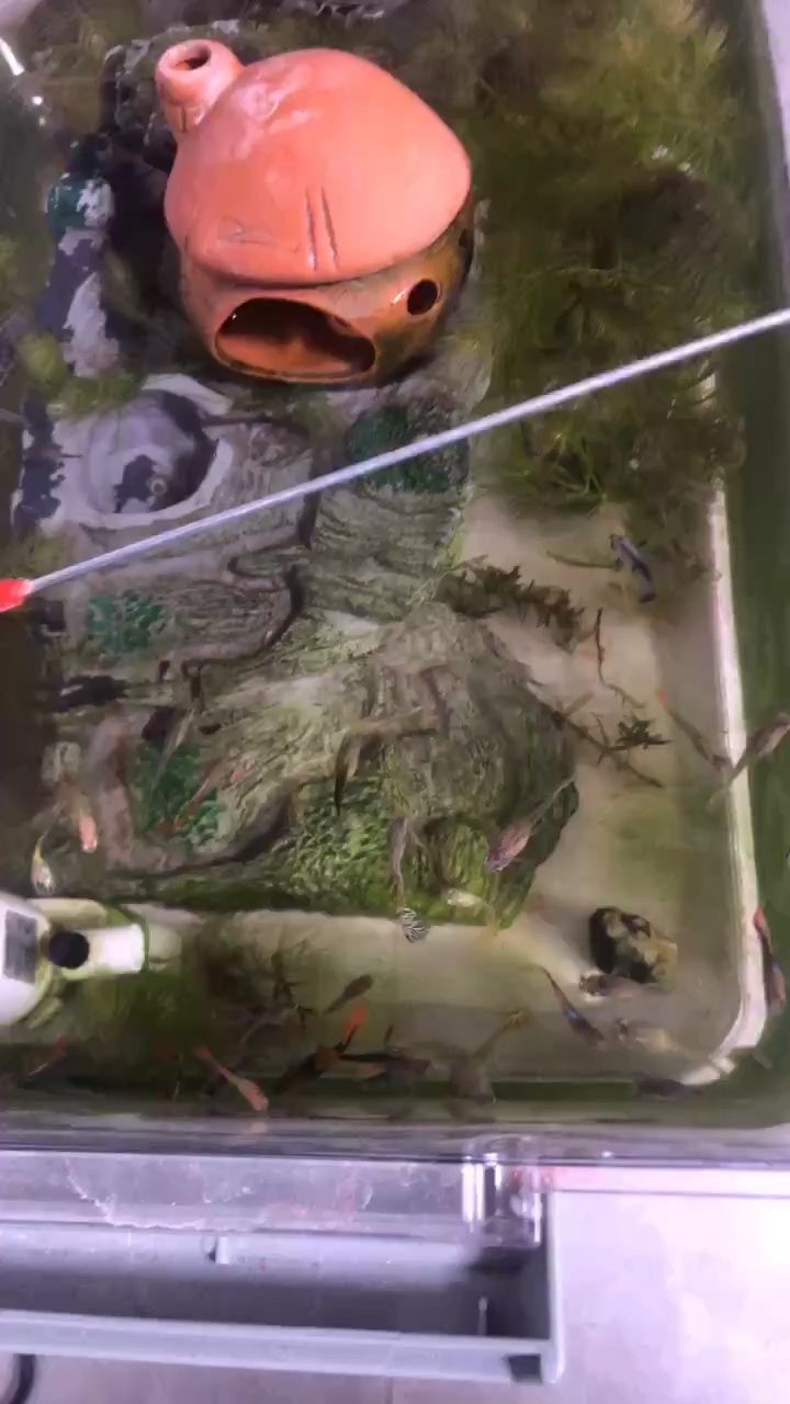 孩子也培養出來了