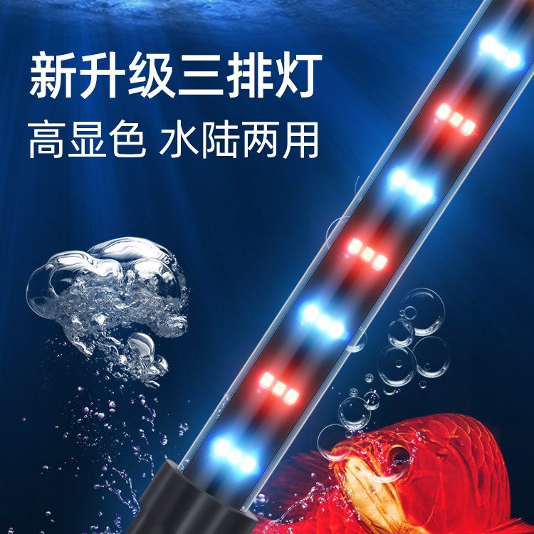 龍魚專用LED燈有哪些型號(hào)可選？
