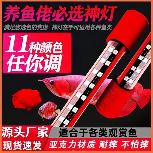 龍魚專用LED燈有哪些型號(hào)可選？