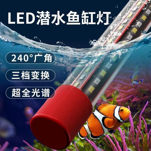 龍魚專用LED燈有哪些型號(hào)可選？