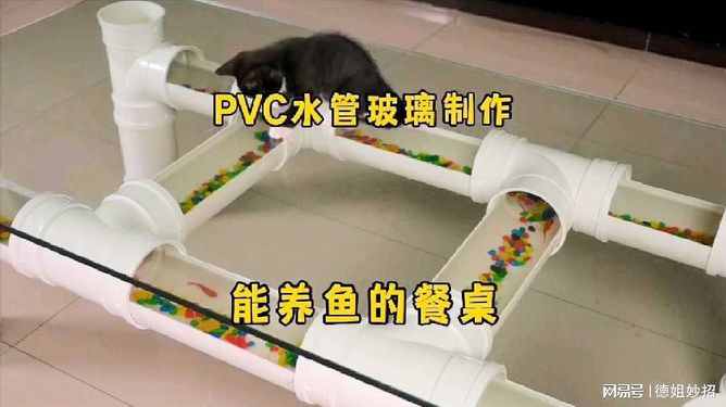 黃山魚缸售后維護(hù)電話號碼查詢（黃山魚缸售后維護(hù)電話號碼查詢地址）