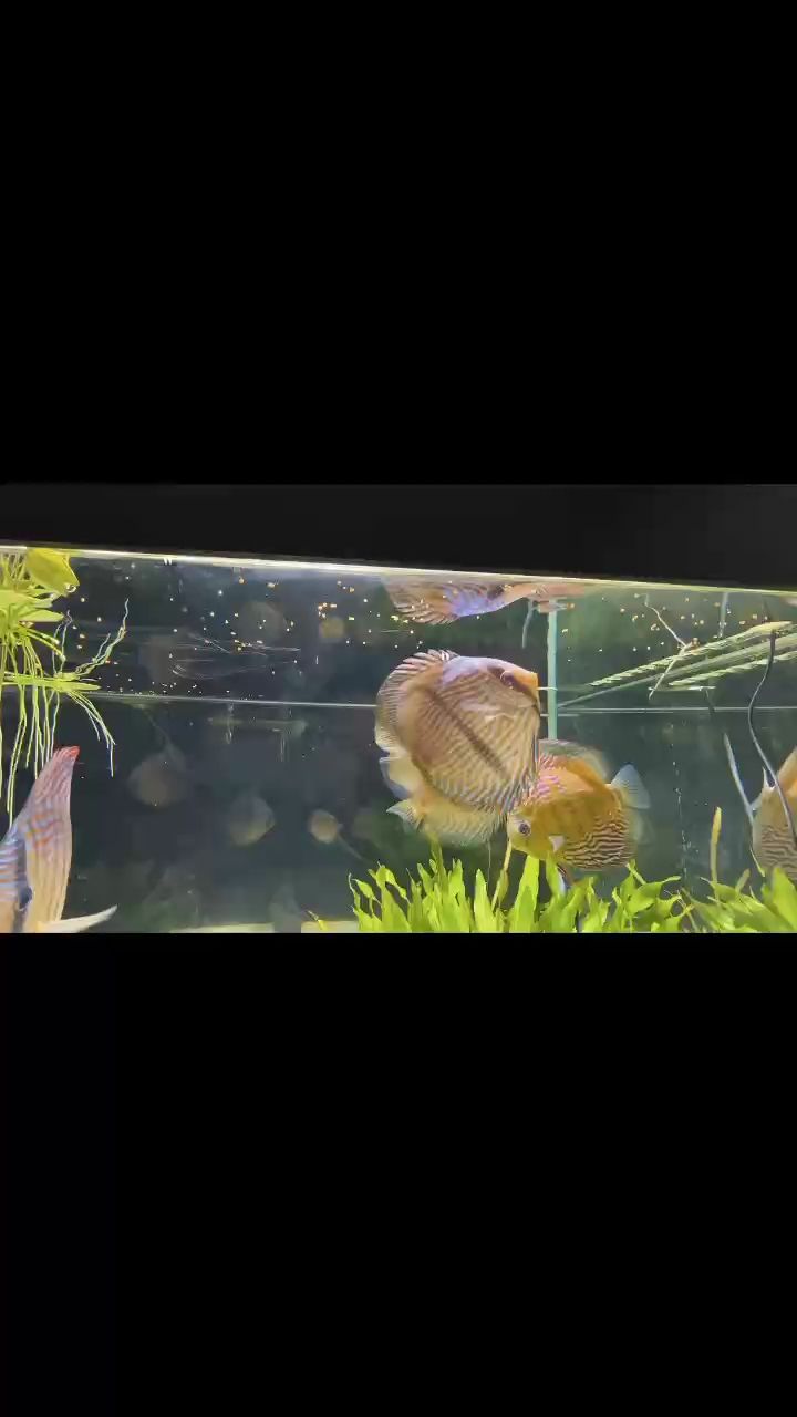漸漸出狀態了