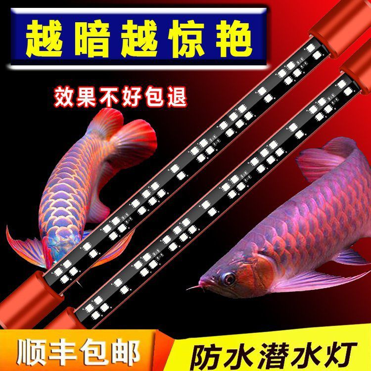 神燈龍魚專用燈的價(jià)格范圍是多少？