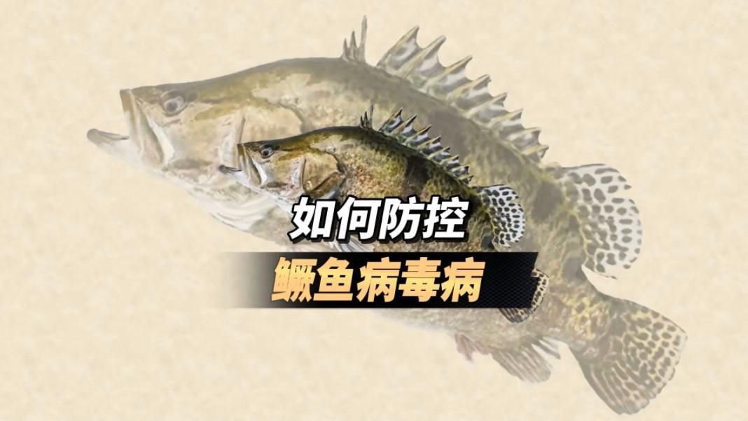 如何預防魚類病毒性疾病？