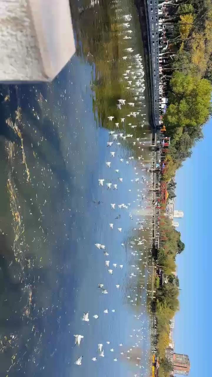 逝去的時光