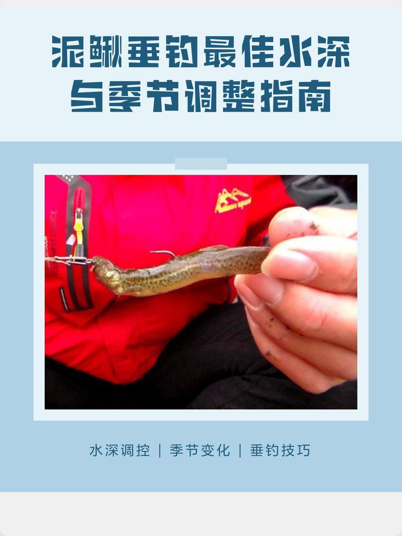 泥鰍釣魚的最佳季節(jié)是什么時候？