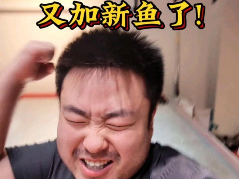 泰龐海鰱不能亂養