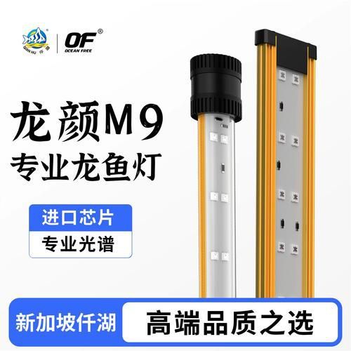 仟湖紅龍魚燈有哪些型號推薦？