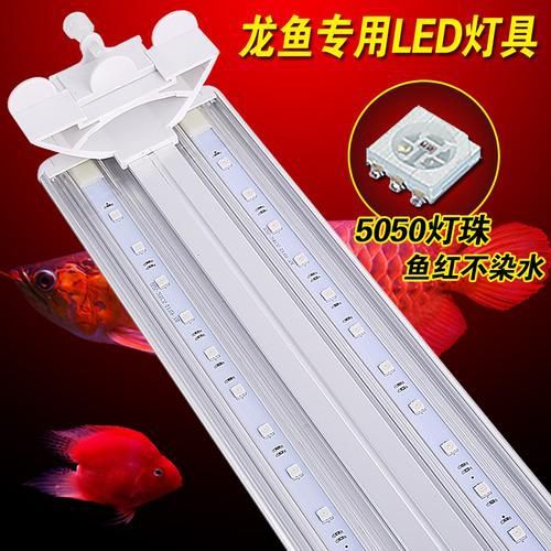 仟湖紅龍魚燈有哪些型號推薦？