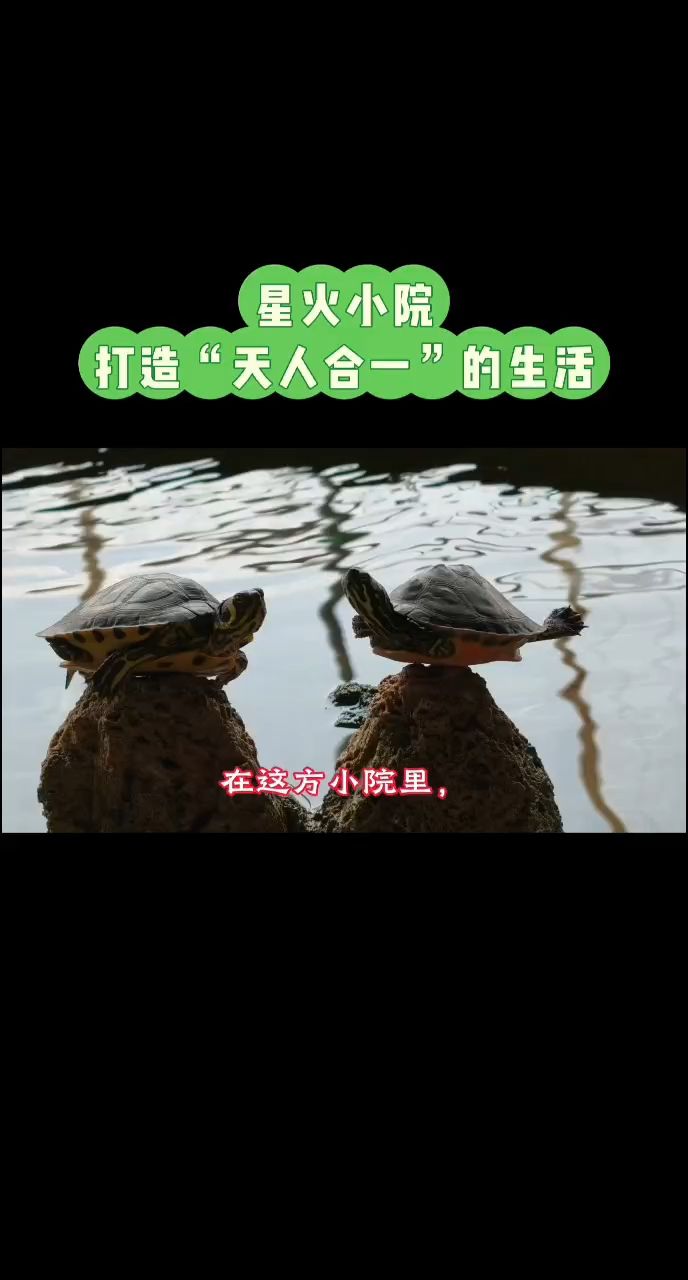 星星之火，可以燎原 打造“天人合一”的生態小院