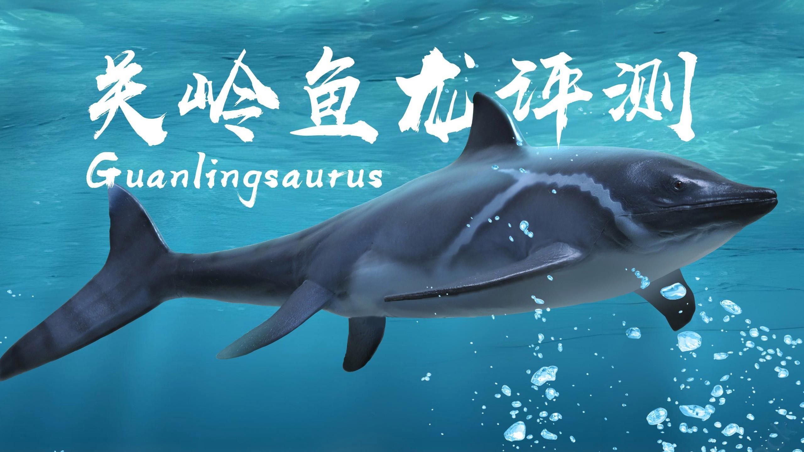 pnso關嶺魚龍