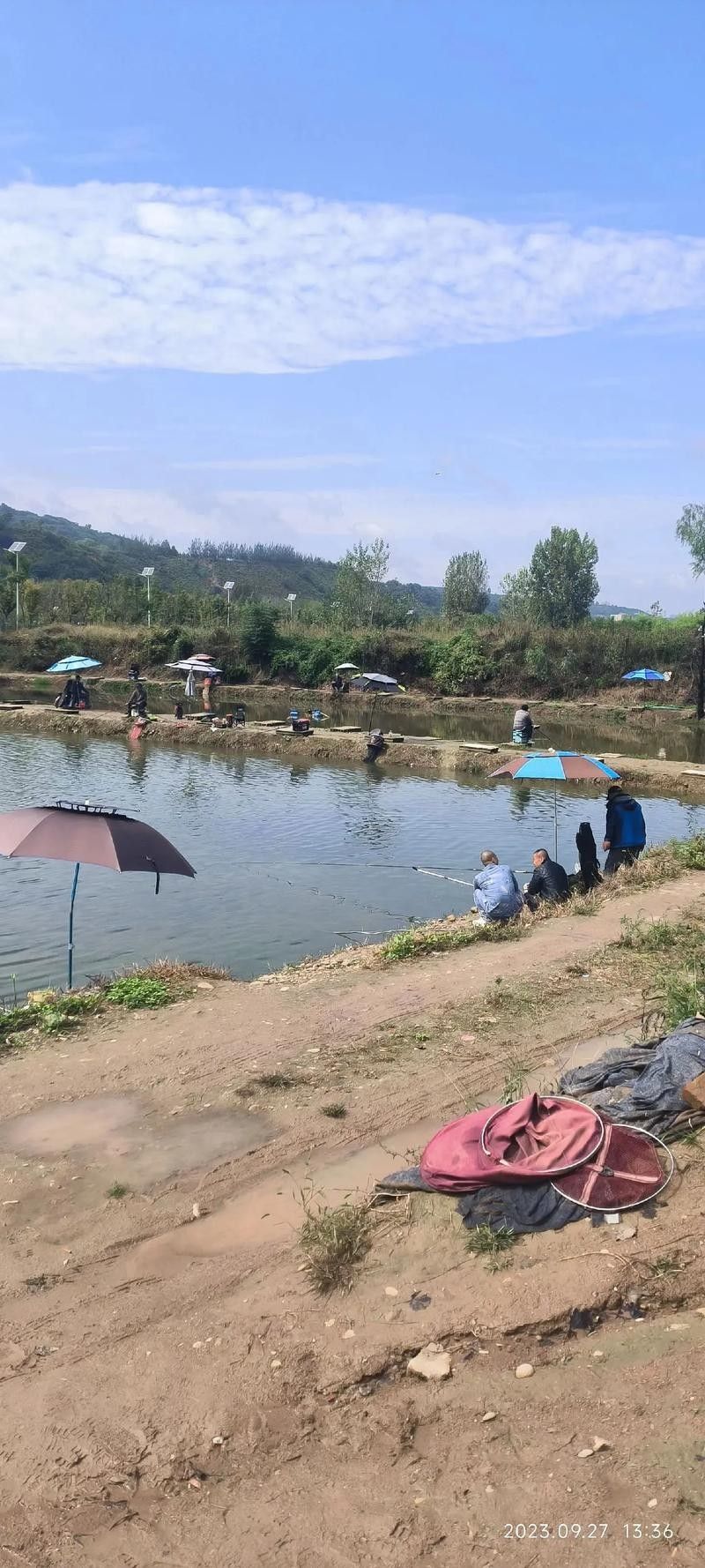 懷遠適合野釣的地方 懷遠適合野釣的地方 觀賞魚百科 第4張