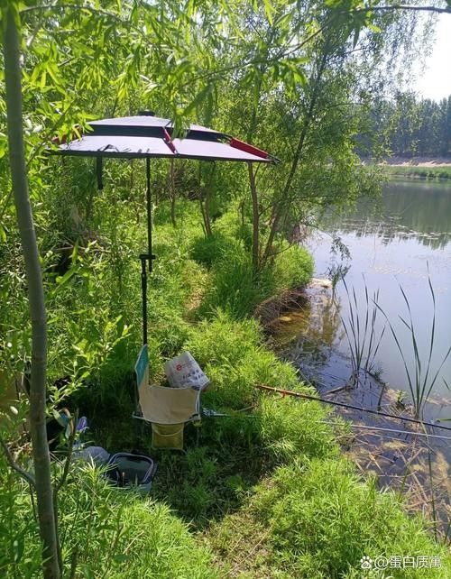 懷遠適合野釣的地方 懷遠適合野釣的地方 觀賞魚百科 第3張