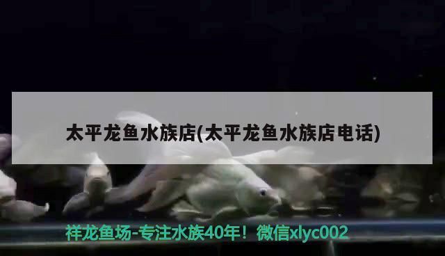太平龍魚水族店(太平龍魚水族店電話) 太平龍魚水族店(太平龍魚水族店電話) 觀賞魚百科