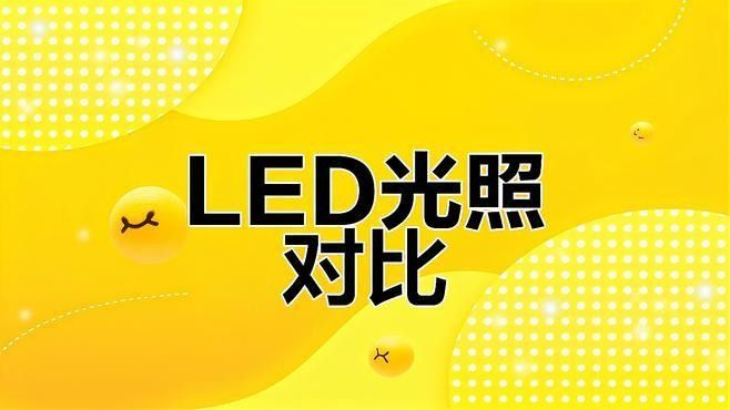 led燈對龍魚有影響嗎