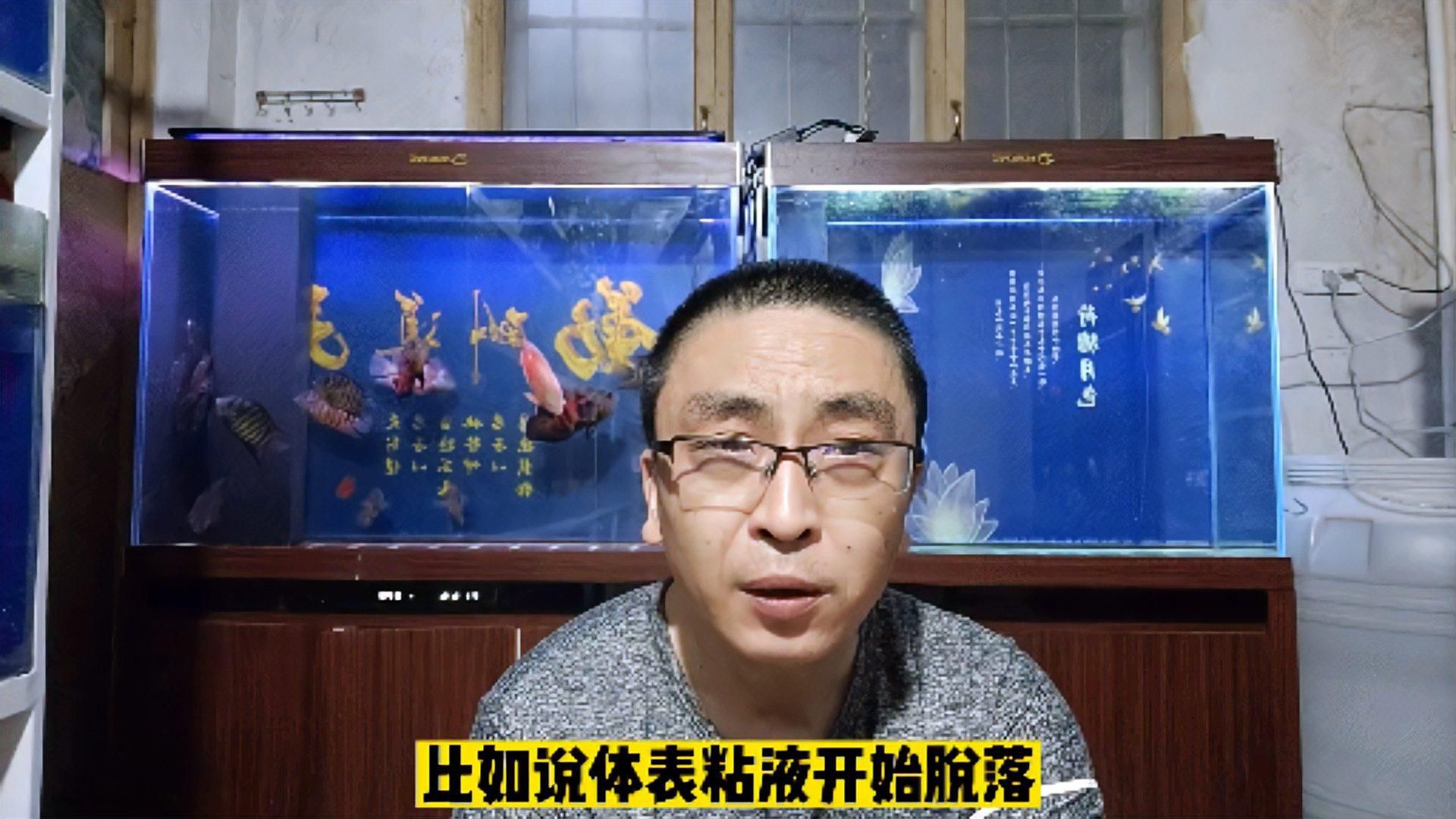 六角龍魚價格多少錢一條，六角龍魚的價格通常是多少六角龍魚健康的重要因素