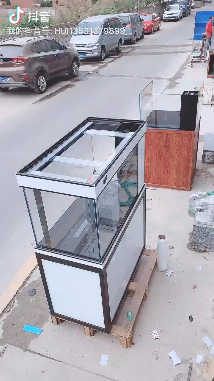 龍魚雌雄結構圖（曼龍魚如何區分雌雄）