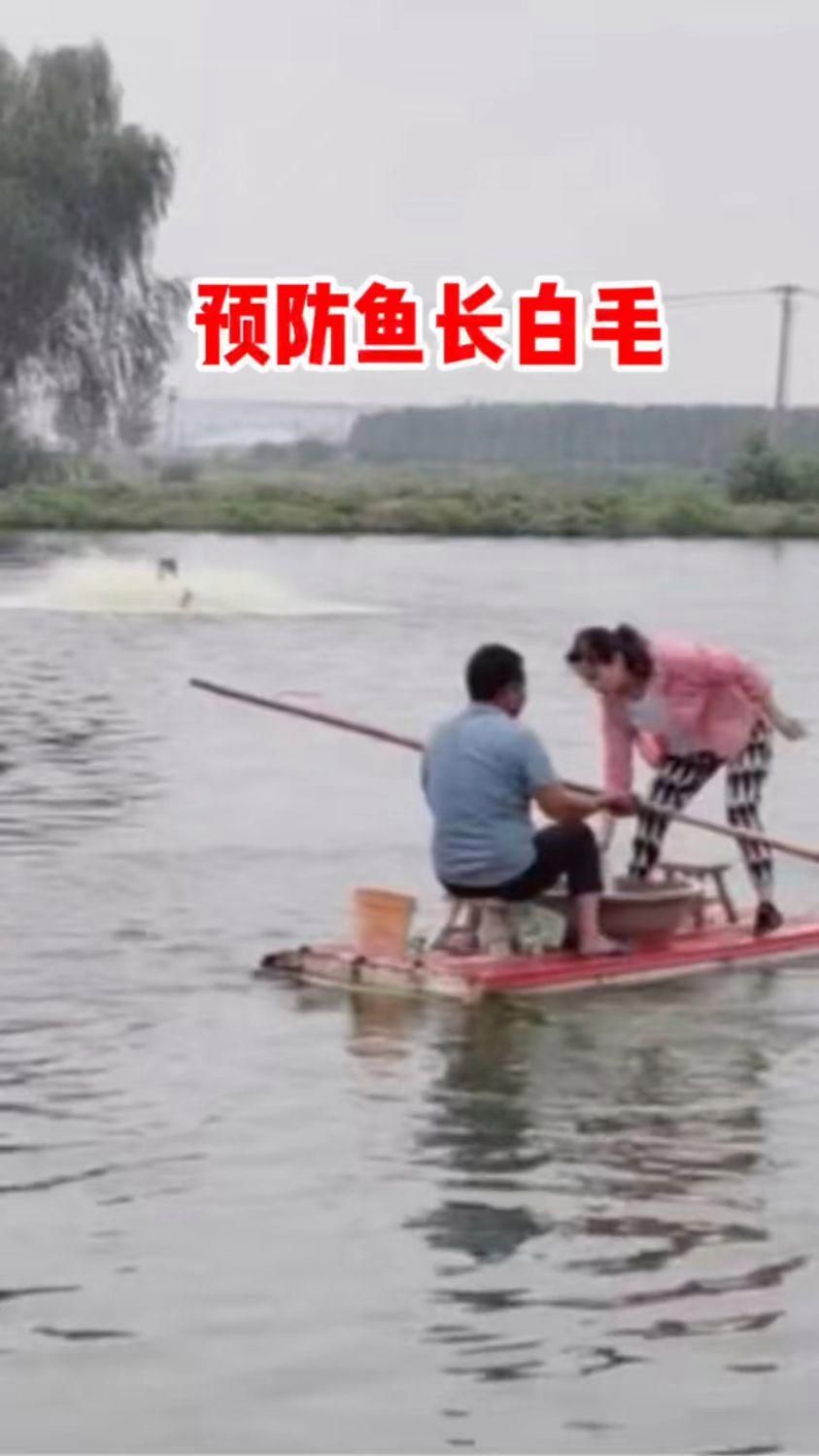 如何預防魚鱗片上長白色絮狀物？