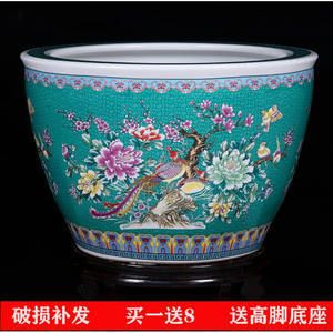 龍魚(yú)配虎魚(yú)和鸚鵡魚(yú)（龍魚(yú)配虎魚(yú)和鸚鵡魚(yú)能混養(yǎng)嗎）