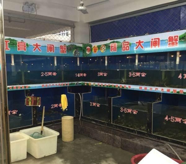 重慶魚缸批發市場:重慶有那些觀賞魚市場