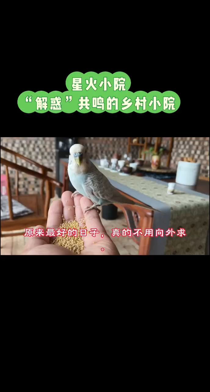 解惑共鳴的鄉村小院
