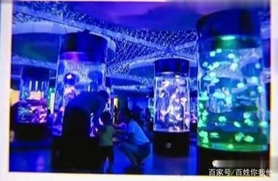 魚缸整面墻（如何將整面墻設(shè)計成魚缸）